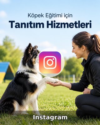 Köpek Eğitimi Instagram Yönetimi