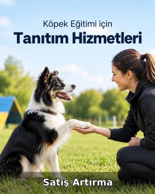 Köpek Eğitimi Satış Artırma