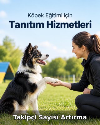 Köpek Eğitimi Takipçi Sayısı Artırma