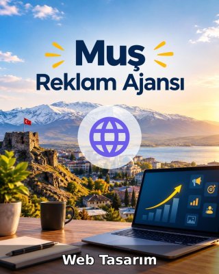 Muş Web Tasarım