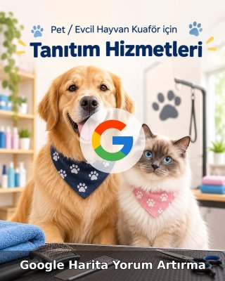 Pet / Evcil Hayvan Otel Google Harita Yorum Artırma