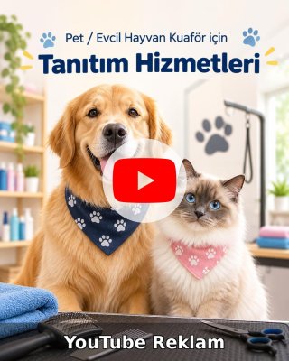 Pet / Evcil Hayvan Otel YouTube Reklam Yönetimi