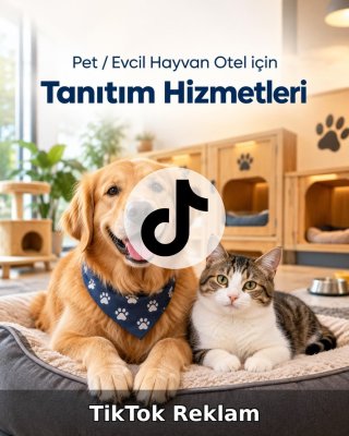 Pet / Evcil Hayvan Otel TikTok Reklam Yönetimi